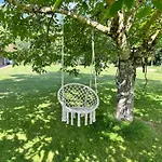 Les Papillons De Baccara *