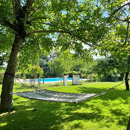 Les Papillons De Baccara * Gondrin