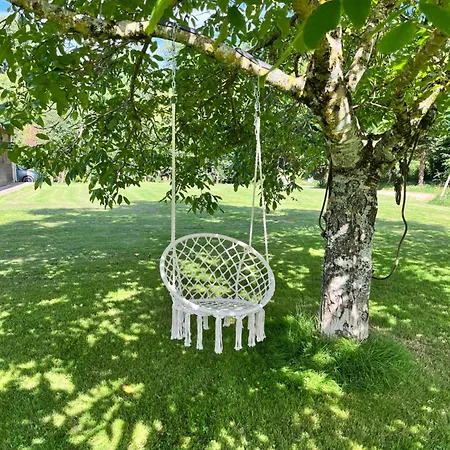 Les Papillons De Baccara *