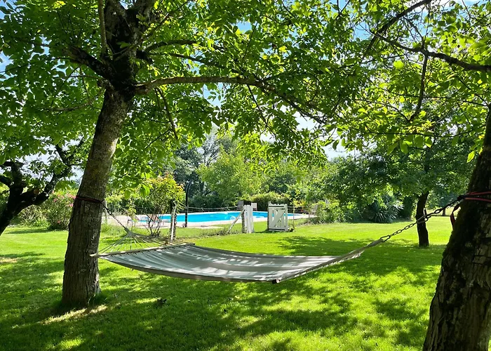 Les Papillons De Baccara * Gondrin