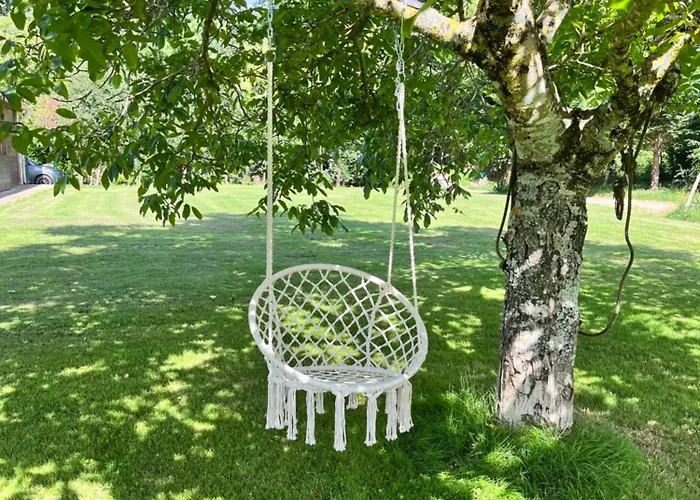 Les Papillons De Baccara *